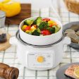 G32 Mini Electric Food Steamer with Ceramic Steaming Plate - Bundle Offer For Cheap